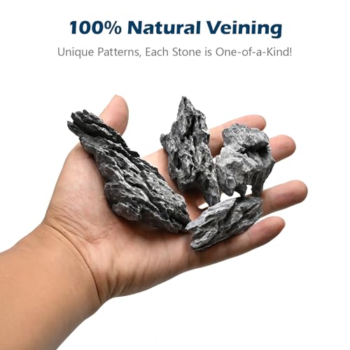 Natural Rocks Seiryu Stone 1-2.5 Inches Decorative Stones for Fairy Gardens,Miniature Landscaping,Bonsai,DIY Crafts, Aquariums & Reptile Terrariums-1lb - size: 1lb(1-2.5Inch)