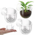 Suction Cup Plant Holder, 3 Pcs ABS Aquarium Plant Holder Transparent Fish Tank Plants Holder Aquatic Plants Cup for Aquascape Decoration