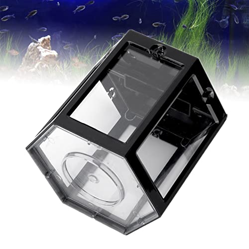 Gazaar Mini Fish, Small Hex Shape Fish, Hexagon Betta Fish Goldfish, Mini Aquarium, Desktop Plastic Fish for Living Room Office Home Decor (Black)