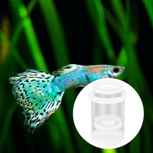 Fish Breeding Box Aquarium Floating Breeder Incubator Holder Isolation Container with Hole Lid Easy Setup Clear pp Material Suitable for Guppy Betta, White - color: white