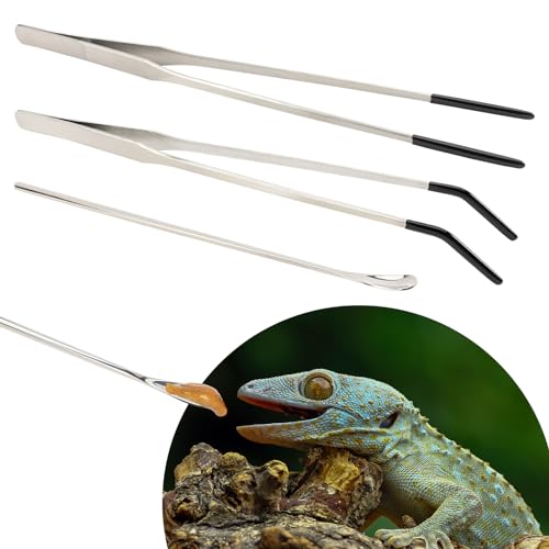 3 Pcs Stainless Steel Reptile Feeding Tool Set with 2 Rubber Tipped Tongs and 1 Crested Gecko Feeding Spoon, Crested Gecko Tank Accessories for Geckos, Lizards, Bearded Dragons, and Small Animals