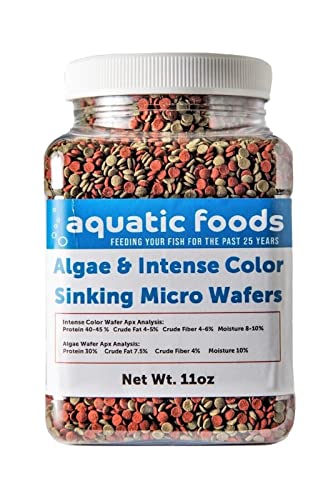 3.5mm - 1/8" Micro Wafer Mix of Spirulina Algae & Intense Color Enhancing Sinking Micro Wafers for Catfish, Plecos, Bottom Fish, Shrimp, Crabs, All Tropical Fish..11oz Small Jar - size: 11 Ounce (Pack of 1)