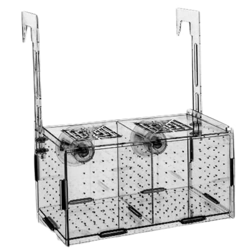 Fish Breeding Box, Transparent Insulation Breeder Box for Fish Tank, 8x4x4 Detachable Acrylic Small Fish Tank with Suction Cups for Shrimp, Clown Fish and Guppy Fish Breeder Box for Aquarium