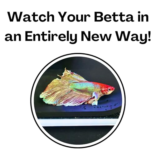 Betta Underground Tunnel Hideout Cave | Aquarium Hide For Small Fish and Shrimp | Viewing Betta Fish Rest Hammock Enrichment Toy | Betta Fish Tank Accessories Supplies Decorations Ornaments Toys Decor - color: Black