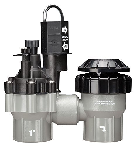Rain Bird DASASVF100 Professional Grade Anti-Siphon Valve with Flow Control, 1" Threaded Female x Female - size: 1 Inch
