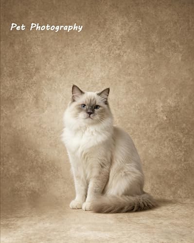 8x10ft Beige Photo Backdrop,Classic Abstract Texture Photography Background,Backdrop for Studio Photoshoot,Live Stream,Baby Shower,Pregnant Women & Product Shooting - color: Beige Textured, size: 8x10ft