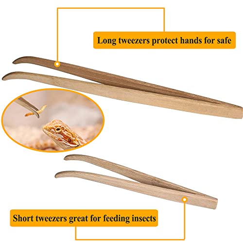 ASOCEA 2 Pack Extra Long Reptile Tweezers Feeder Tool Lizard Feeder Tongs with Anti-Slip Design for Bearded Dragons Lguanas Lizards Turtles Geckos Corals（11in and 6.5in
