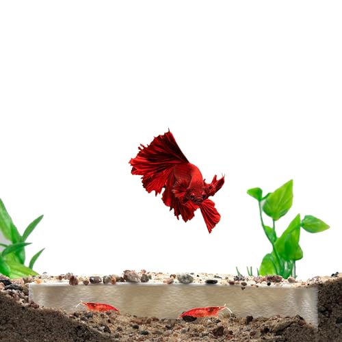 CTWPets Shrimp Breeding Protector | Shrimp Breeding Cave Aquarium Tunnel (White) - color: White