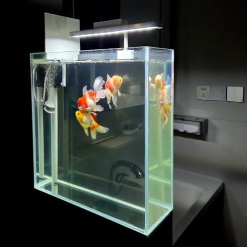 High-Clarity 3.5 Gallon Fish Tank 30 * 15 * 30CM - Low Iron Glass Aquarium with Space-Saving Thin & Narrow Designs | Includes Non-Slip Mat, Corner Guards + Decor | Ideal for Desktop/Bathroom - size: Small