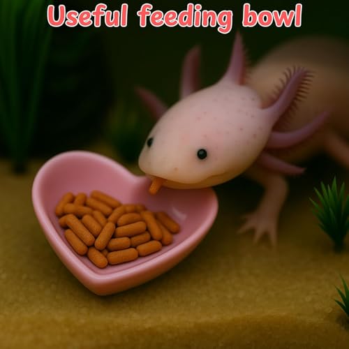 3Pcs Axolotl Tank Accessories, Hide Shell Shape Ceramic Fish Tank Cave, Silk Plants, Feeder Bowl, Fish Tank Decor Shelter for Small Pet Frog Fish Betta (Extra Large, Blue)