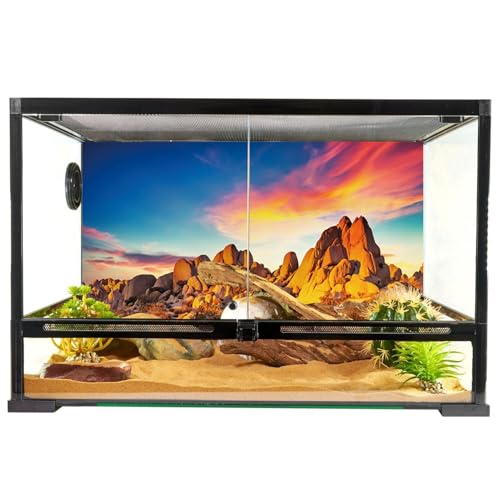 YongFoto Reptile Terrarium Background 36x14 inch Desert Rocky Bush Thorns Western Wilderness Reptile Habitat Background Bearded Dragon Fish Tank Aquarium Polyester Backdrop - color: Orange-1, size: 36 x 14 in