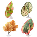 4pcs Betta Leaf Hammocks Bed, Adjustable Plastic Plant Pad Betta Fish Tank Decor with Suction Cup & Bracket for Four-Eyed Silk Fish Guppy to Rest (Green, Brown)