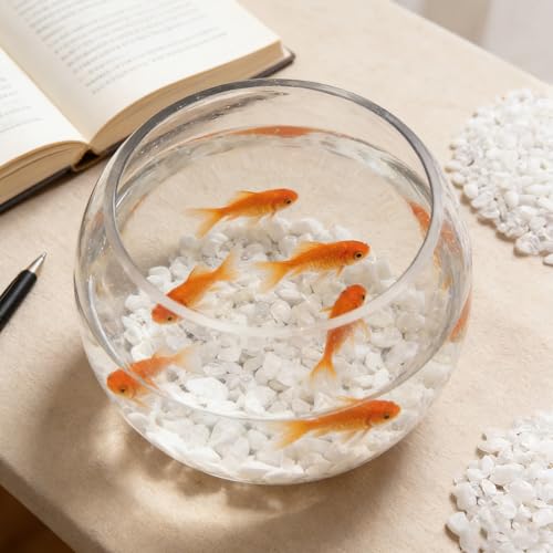 Natural Agate Aquarium Gravel, Fish Tank Rocks and Pebbles, Suitable for Indoor Plants, Colorful Crushed Stones can be Used for Succulent Plant Decoration, vase Filling, DIY Crafts (White) - color: White