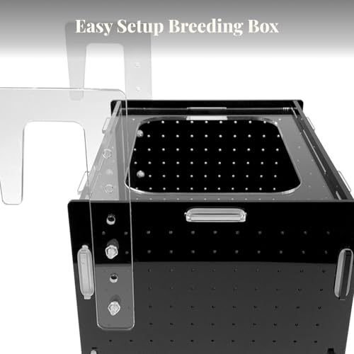 Fish Breeder Box Isolation Box Transparent Separator Easy Installation Hatchery Incubator for Baby Fish Betta Guppy, 15x15x15cm - size: 15x15x15cm