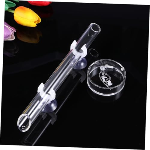Feeder Aquarium Tank 1 Set of Shrimp with Dish, Acrylic Clear Shrimp Aquarium Fish Tank Feeder Dish Bowls for Crystal Shrimp Tropical Fish Auto Glass