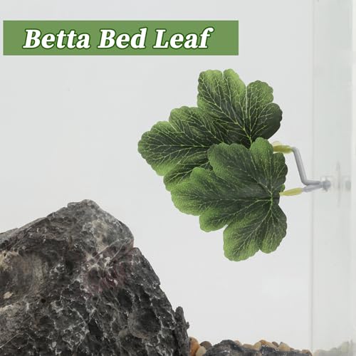 Betta Hammock, Betta Fish Resting & Spawning Spot, Plastic, Green, 10x8.5cm (3.94x3.35 inches), 1 Count, Aquarium Decor - color: Green