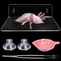 Axolotl Hammock Ledge for Aquarium with Feeding Dish Ceramic Tray Suction Cup and Feeding Tweezer Axolotl & Bearded Dragon Aquarium Accessories Kit (7.8 x 3.9in)
