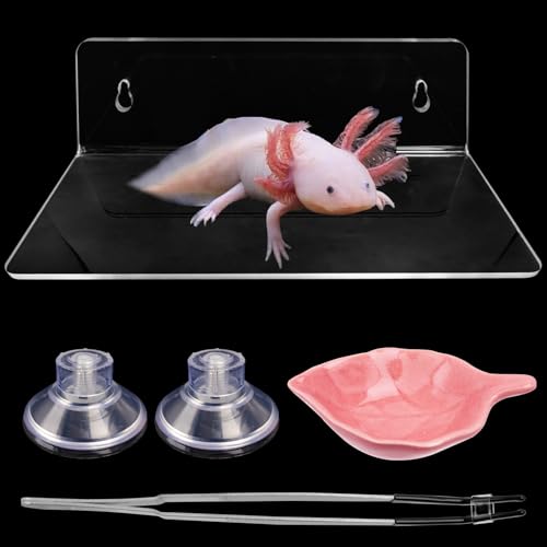 Axolotl Hammock Ledge for Aquarium with Feeding Dish Ceramic Tray Suction Cup and Feeding Tweezer Axolotl & Bearded Dragon Aquarium Accessories Kit (7.8 x 3.9in)
