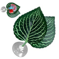 Betta Fish Bed - Betta Fish Leaf Hammock | Betta Resting | Comfortable Rest Area for Fish | Betta Hammock Plant Leaves | Breathing Breeding Pads Improve Betta's Health by The Natural Habitat