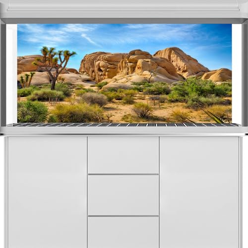 48X18 Inches Bearded Dragon Tank Background Durable Polyester Terrarium Background, Joshua Tree National Park Desert Cactus Sandstone Backdrop for Reptile Habitat Tank - size: 48X18