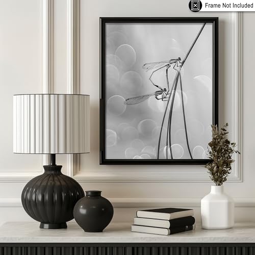 Monem Art Two Damselflies Mating Print - The Love Poster - Animal Art - Monochrome Office, Living Room or Office Decor - 8x10 Unframed Wall Art by Andi Halil - color: Style-01, size: 8"L x 10"W