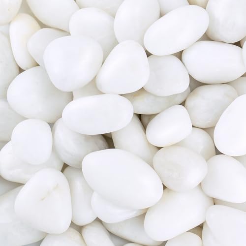 Pebbles for Indoor Plants, 2lbs White Pebbles 1-2 Inch Decorative River Rocks for Planters, High Polished Stones for Vase Filler Fish Tank Landscaping Garden - size: 1-2 inch, style: 2 lbs