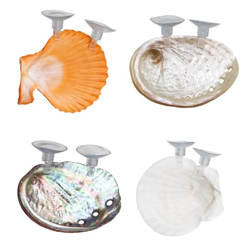 4-Pack Natural Shell Betta Fish Hammocks with Suction Cups – Betta Tank Accessories, Resting Ledges & Aquarium Shell Décor for Small Fish