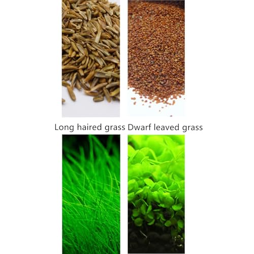 2 Pack Live Aquarium Plants S.e.e.ds - Dwarf Leaf and Long Hair Combo for Aquarium Fish Tank (0.35oz Each)