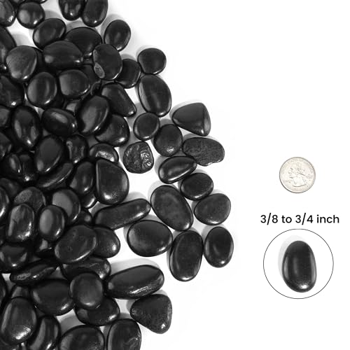 300 LBS River Rocks, StoneCreek, Decorative Garden Stones for Plant Landscaping, Polished Gravel Filler Pebbles for Home Decoration, Vases, Succulents, Flower Beds and Fish Tanks (Black, Medium) - color: Black, size: 300 LBS