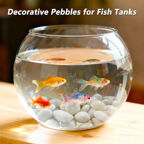 5LB White River Rocks, High Polished 1–2 inch Decorative Pebbles for Indoor Plants, Aquarium & Fish Tank Rocks, Garden Landscaping Stones, Vase Fillers, Lava Rocks for Plants & Pathway Decor