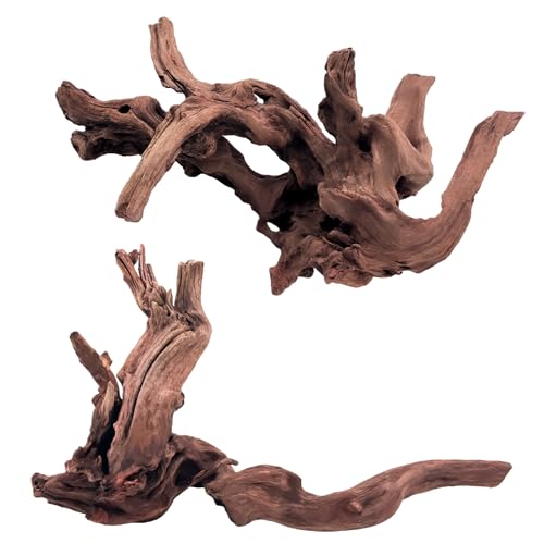 Kaiyuan Dynasty 2Pcs 10-12" Natural Coral Driftwood for Fish Tank Decorations Aquarium Driftwood for Reptile Aquatic Plants Aquascaping - size: Driftwood 10 to 12 Inch(Pack of 2)