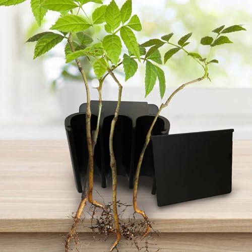 Adjustable Hydroponic Shelf for Aquariums with ABS and Clip Mounting Pet Organizers
