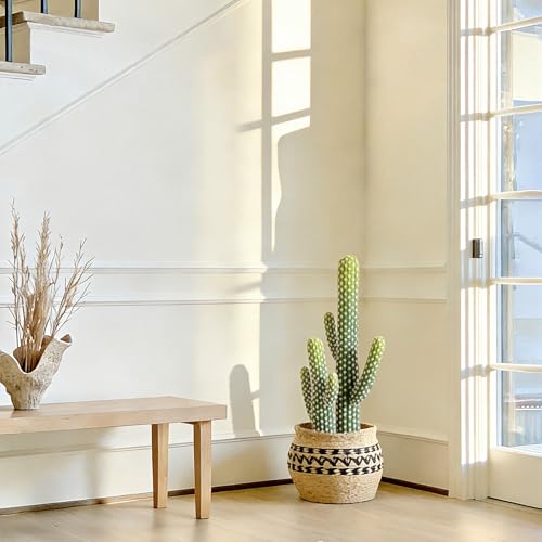 2 Pcs Artificial Cactus Plant Outdoor with Black Pot, 23 Inch Realistic Fake Cactus Indoor Decoration, Faux Desert Cacti for Home Office Garden Store Decor. - size: 23 Inch-2Pcs