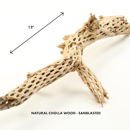 Koyal Wholesale 12” Natural Cholla Wood Branch for Aquarium, Shrimp or Betta Tank Décor – Real Desert Wood for Reptile or Terrarium Habitat, Aquarium Safe Driftwood for Fish Tank Decoration - size: 12-Inch