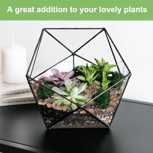 Pulovin 2.5 lbs Drainage Rocks for Potted Plants, 1/5 Inch Small Pebbles for Indoor Plants, Decorative Gravel for Vases, Bamboo, Succulent, Terrarium, Crafts, Cactus - color: Colored