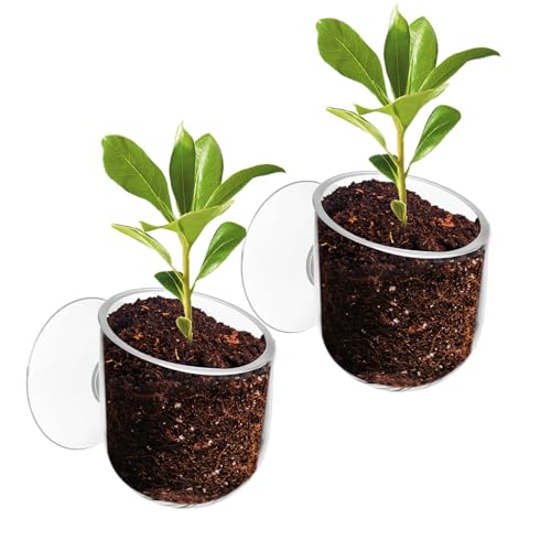 Yolev Aquarium Plant Holder 2Pack Clear Plant Holder for Fish Tank Hanging Fish Tank Plants Pot Holders for Aquarium Planter Cup with Suction Cup