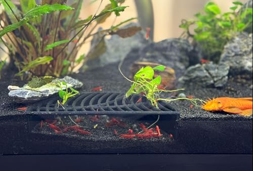 LifeWithPets Shrimp Breeding Hide | Shrimp Cave | Shrimp Hide | Tunnel | Black - size: Halfmoon Hide