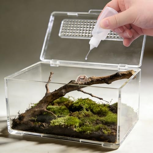 4 Pack 20ml Water Feeder Bottles for Ant Farms & Jumping Spiders – Mini Plastic Dropper with Metal Needle Tip for Insect Enclosures, Tarantula Habitats and Reptile Terrarium