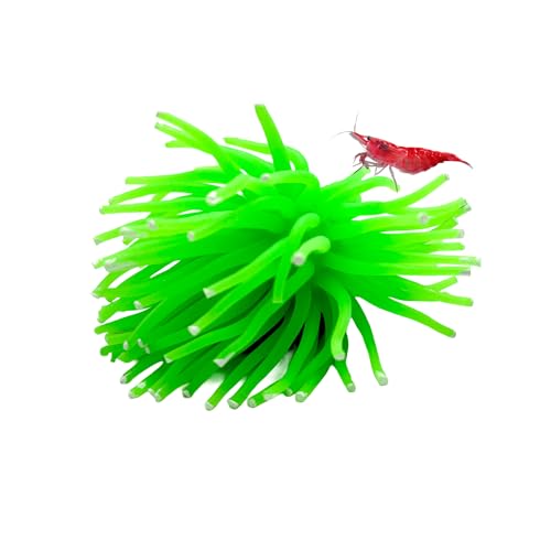 CTWPets Fluorescent Aquarium Decor – Glowing Fish Tank Ornament for Freshwater & Saltwater | Safe for Betta, Shrimp, & Tropical Fish | Includes Collector Card (Green, Small) - color: Green, size: Small