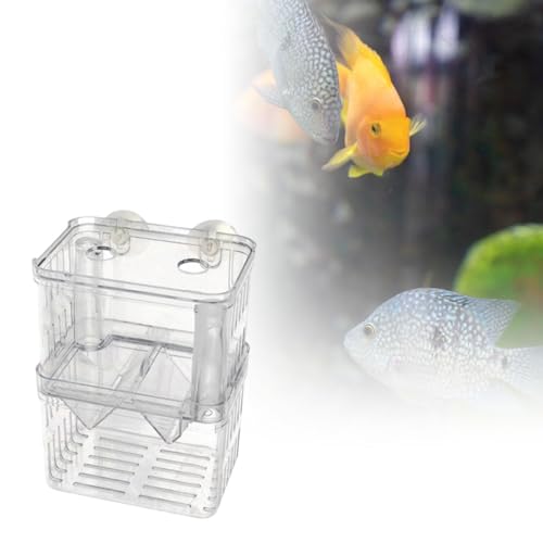 Fish Breeding Isolated Box Float Hatching Separation Acrylic Hatching Box Fish Tank Hatchery for Clownfish Guppy, M - size: M