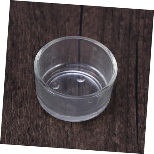 Totority Clear Glass Reptile Feeder Bowl Durable Round Dish for Fish and Reptile Food Smooth Design for Tank Aesthetics Feeding for Lizards and Shrimp