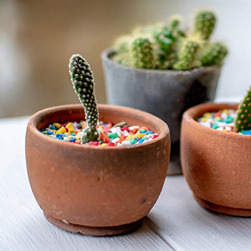 Mini Rainbow Confetti Gravel Pebbles Mix Colored Stones Aquarium Gravel Decorative Colored Garden Sand Succulent Cactus Bonsai Gritty Mix Rocks for Top Dressing, Landscaping, Home Decor 2.2 lbs - color: Mini Rocks, size: 2.2 lb