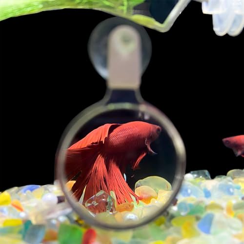 Aquarium Magnifier, Acrylic Fish Tank Viewer, Small Animal Magnifying Lens with Suction Cup, Hands-Free Underwater Viewing for Fish, Corals and Aquarium Photography