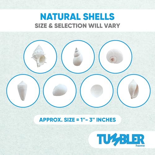 Tumbler Home Natural Sea Shells, Starfish & Sea Glass, Generous 1.5 lbs Hand Picked – Hand Packed | DIY, Crafts, Party, Wedding Decor | Shells 1.5 to 4.5 Inches - color: Shells + Glass + Starfish