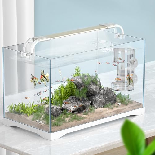 No Mess Aquarium Feeder, Acrylic Clear Fish Tank Feeder with Suction Cup, Preventing Food Scattering Feeding Tray Hollow Floating Sinking Shrimp Food Holders (Square,1) - color: Square