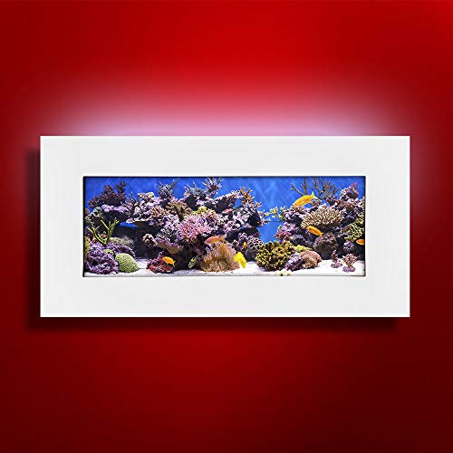 Aussie Aquariums AA-Skyline-MWHITE 2.0 Wall Mounted Aquarium, Matte White - color: Matte White, size: Skyline