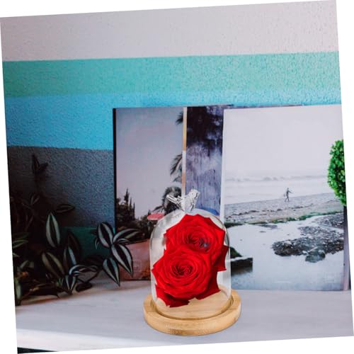 Happyyami Flower Glass Cover Display Cloche Dome Party Dried Flower Vase Plant Decor Bird House Decor Showcase Display Dome Cloche Tabletop Display Dry Flower Botanical Cute Room Wooden