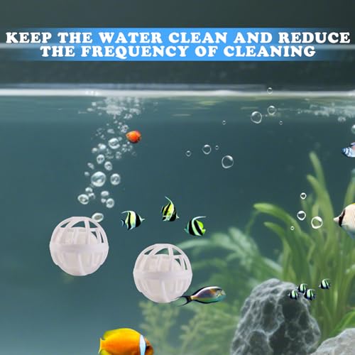 Betta Fish Toys, 2 PCS Fish Exercise Ring and Nitrifying Balls Set, Betta Mirror Toy Set, Feeding Ring with Suction Cup, Fishing Tank Accessories for Gifts (White) - color: White