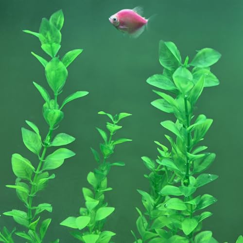 Aquarium Plants 24in, Extra Tall Fish Tank Plants for Large Tanks, Plastic Fish Tank Plant 2 Pack, Fake Aquarium Plant, Tall Decorations for Freshwater Aquariums(Green(Style A)) - color: Green(style F)