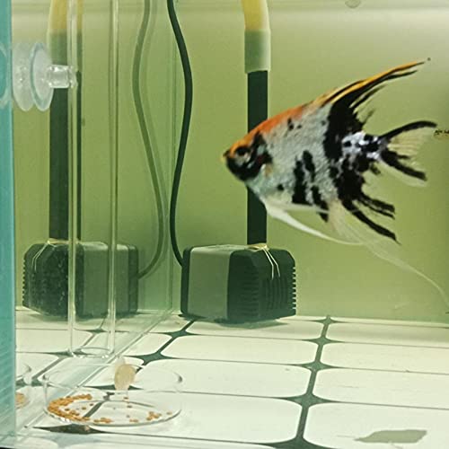 1PCS 200MM Aquarium Feeding Tube Fish Feeder Tube Clear Glass Shrimp Feeder with Glass Dish for Fish Tank Aquarium